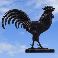 Cockerel Black