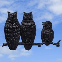 Owl Family Black